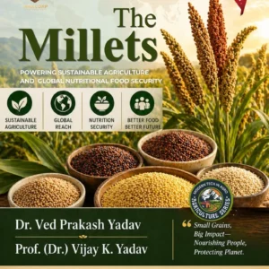 THE MILLETS